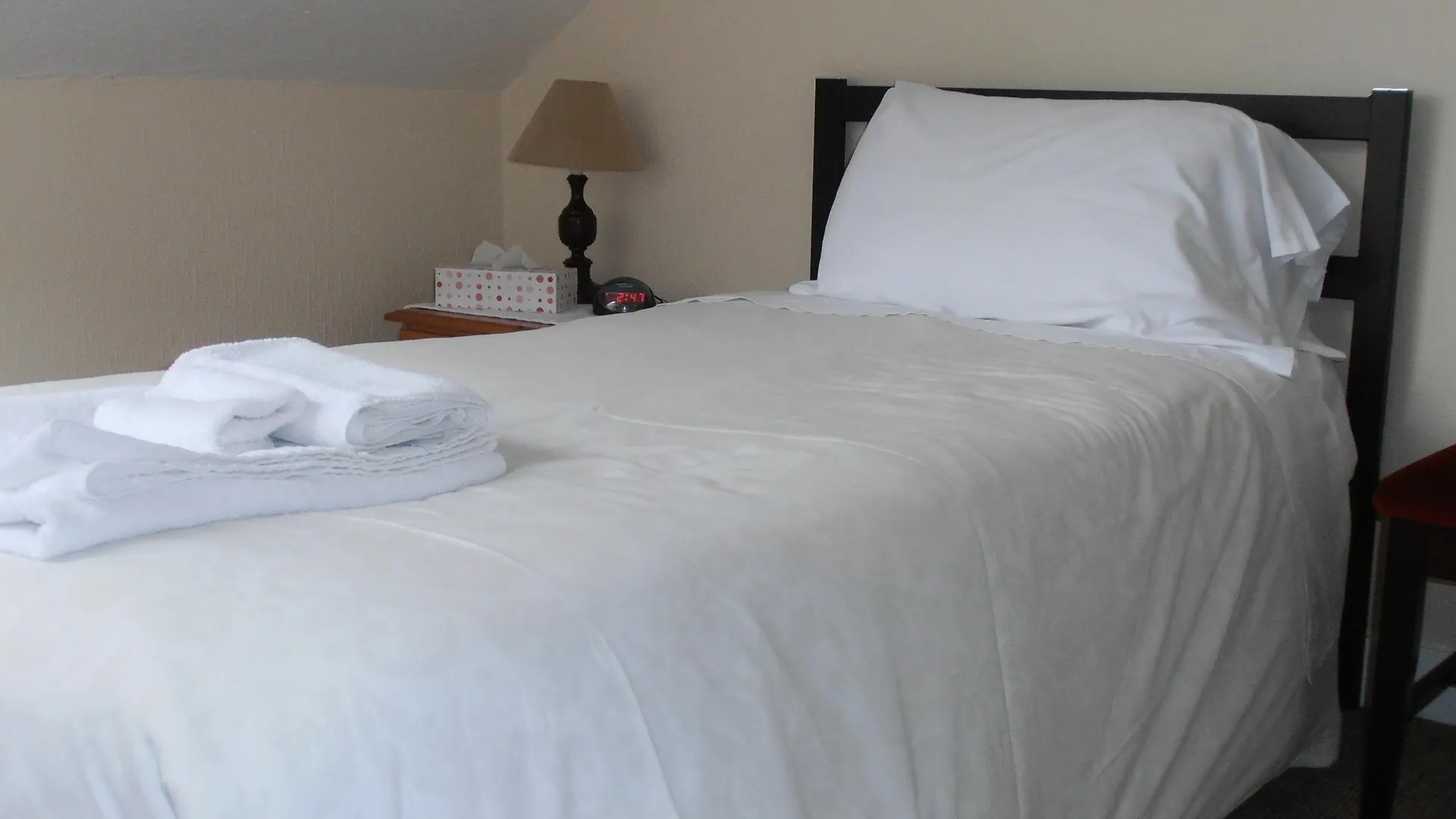 Guest house The Europa Hotel Whitby